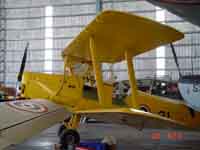 Tiger Moth